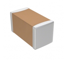 CL02C050BO2GNNC Image.