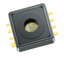 KP236N6165XTMA1 Image.