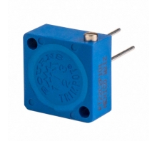 RT22C2P502 Image.