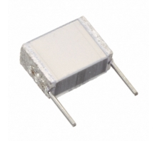 B32560J8103K289 Image.