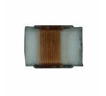 B82498F3101J000 Image.