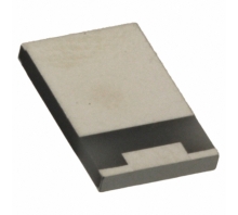 RP92010T0050GTTR Image.
