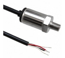 P51-1000-A-B-I36-5V-000-000 Image.