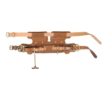 5299N19D Image.