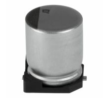 EMVY250ADA101MF80G Image.