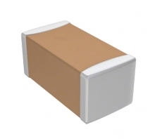 CL31F106ZPFNNNF Image.