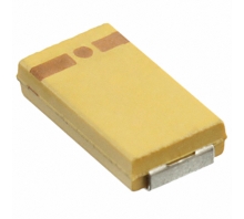 T494U106K020AT Image.