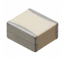 HQCCAM561GAH6A Image.