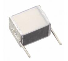 B32560J1105K000 Image.