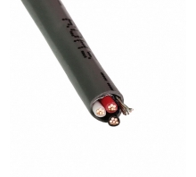 E2003S.21.10 Image.