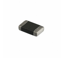 B72500T0070K060 Image.