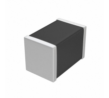 ERB21B5C2E6R8CDX1L Image.
