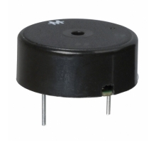 PK-21N30PQ Image.