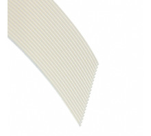 2010/20 100SF Image.