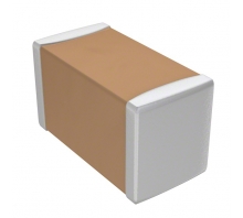 CL31F106ZPHNNNE Image.