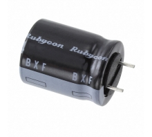 250BXF100MEFC16X20 Image.