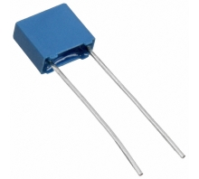 B32529E6153K289 Image.
