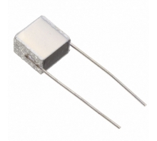 B32560J6104J289 Image.