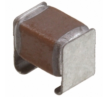 CKG32KX7T2W224K335AJ Image.