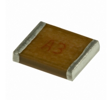 MC22FF251G-F Image.