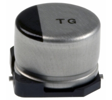 EEE-TG1A101P Image.