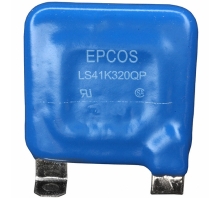 B72241L0321K100 Image.