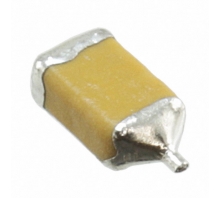 F950G107KAAAQ2 Image.