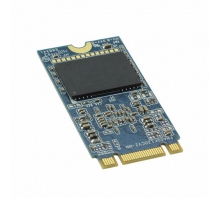 APM2T42P100128GAN-1TM Image.