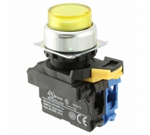 A22NL-RPA-TYA-G100-YD Image.