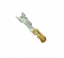 CC79L-2024-01-S Image.