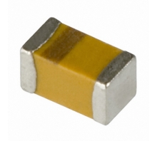 TPCL106M010R5000 Image.