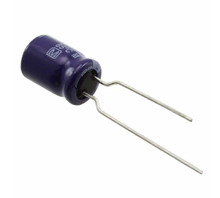 ECA-1HM101BJ Image.