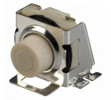 KT11P2SA1M33 Image.