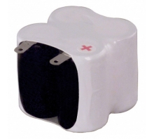 N-110AAF2X2 Image.