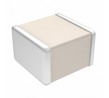 100B5R6CW500XT Image.