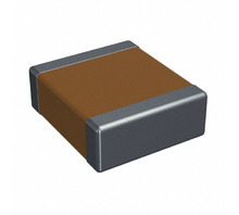 2220SA102KAZ2A Image.