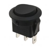 RR115C1100 Image.