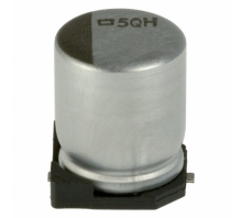 EMVH100ADA101MF80G Image.