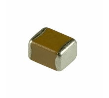 ECJ-4YB0J107M Image.