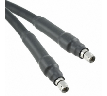 CCASMA-MM-LL142-24 Image.