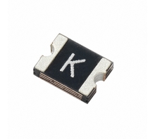 1210L010WR Image.