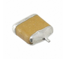 F951A476KTAAQ2 Image.