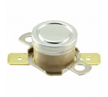 2455RP-91000434 Image.