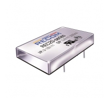 REC20-485.1S Image.