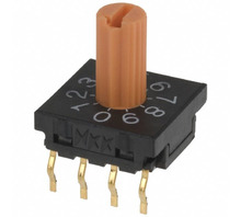 FR01KR10P-S Image.