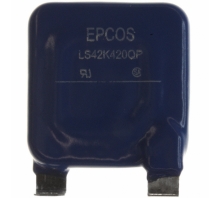 B72242L0421K100 Image.