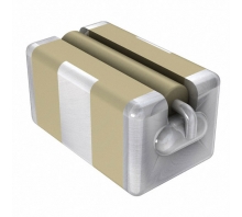 SBSGC5000473MXT Image.