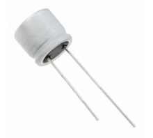 PLF1D121MCL2 Image.