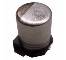 EMHJ250ADA101MHA0G Image.