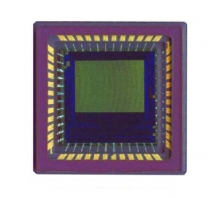 NOIL1SM0300A-WWC Image.